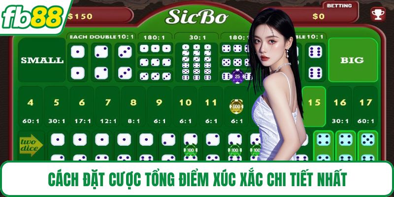 Cách đặt cược tổng điểm xúc xắc chi tiết nhất
