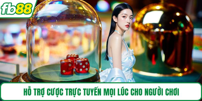 Hỗ trợ cược trực tuyến mọi lúc cho người chơi